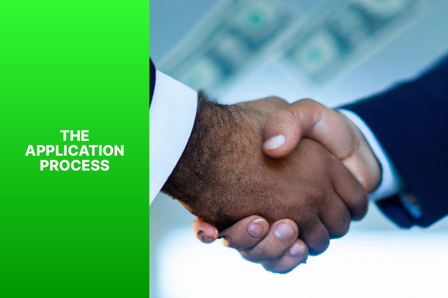 The Application Process - The Green Light: How to Get a Business Loan with Good Credit 